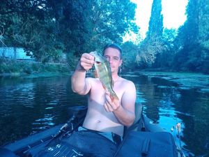 European Perch