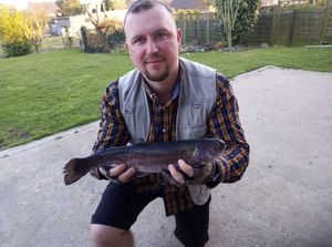 Rainbow Trout