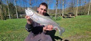 Rainbow Trout