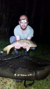 Common Carp