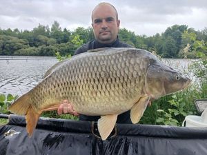 Common Carp
