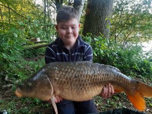 Common Carp