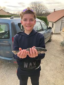 Rainbow Trout