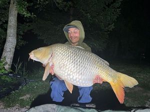 Common Carp