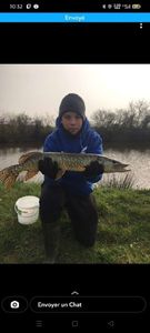 Northern Pike