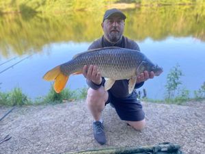 Mirror Carp