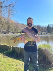 Common Carp