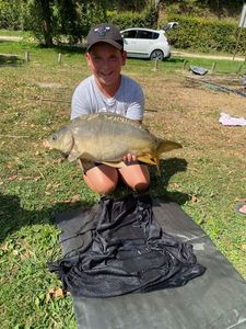 Common Carp