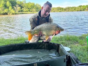 Mirror Carp
