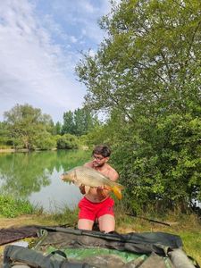 Common Carp