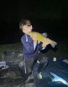 Tench