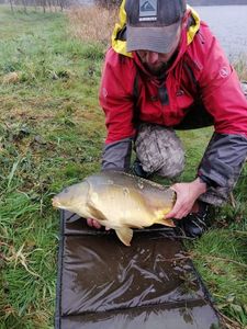 Leather Carp