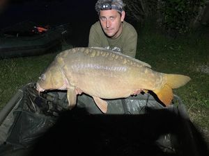 Mirror Carp