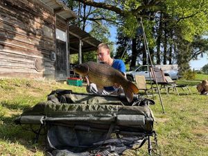 Common Carp