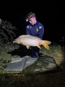 Leather Carp