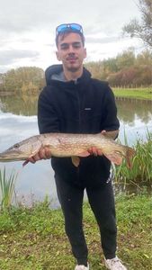 Northern Pike