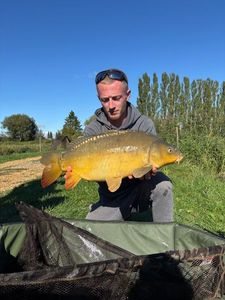 Mirror Carp