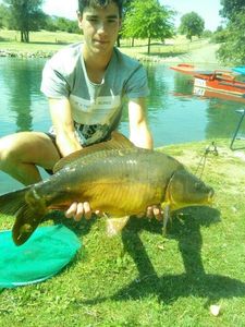 Mirror Carp