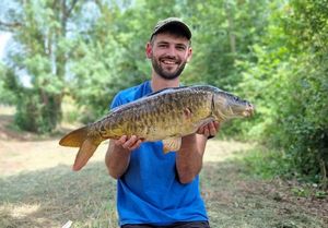Mirror Carp