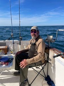 Atlantic Bonito