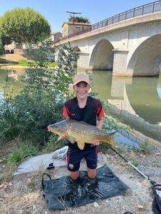 Common Carp