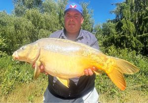 Mirror Carp
