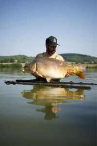 Mirror Carp