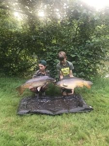 Mirror Carp