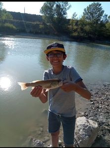 Largemouth Bass
