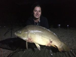 Mirror Carp