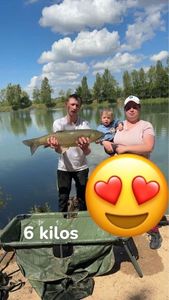 Grass Carp