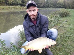 Common Carp
