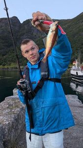 Whiting