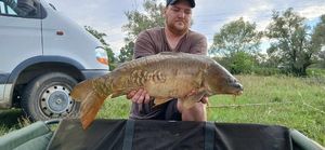 Mirror Carp