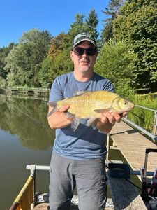 Common Bream