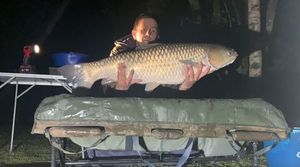 Grass Carp