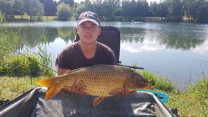 Common Carp