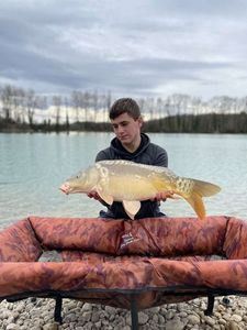 Mirror Carp
