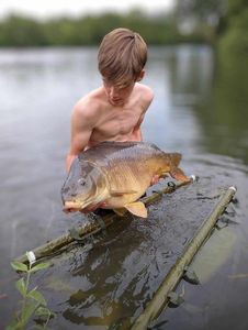 Mirror Carp