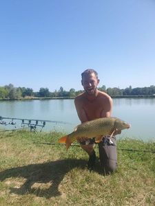 Common Carp
