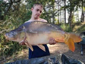 Mirror Carp