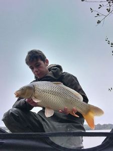 Mirror Carp