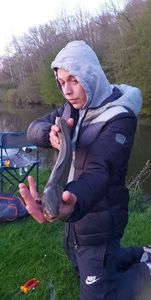European Eel (Common Eel)