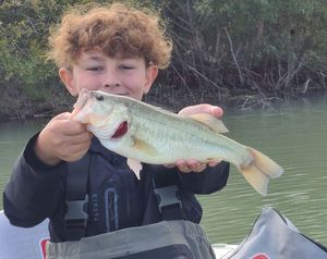 Largemouth Bass