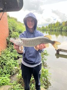 Northern Pike