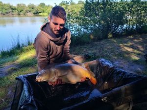 Leather Carp