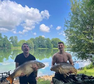 Mirror Carp