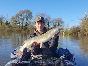 Northern Pike