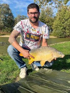 Mirror Carp