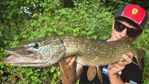 Northern Pike